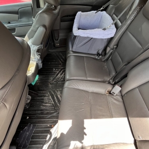 Photo of A&A Diamond Shine Mobile Detailing