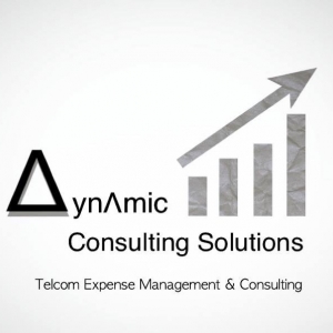 Photo of Dynamic Consulting Solutions