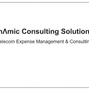 Photo of Dynamic Consulting Solutions