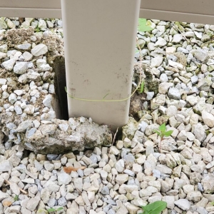 Photo of Discount Fence