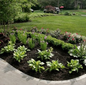 Bellevue Bellevue Lawn Care & Landscaping