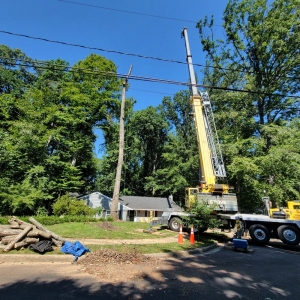 Photo of Solar Landscaping & Tree Service - McLean