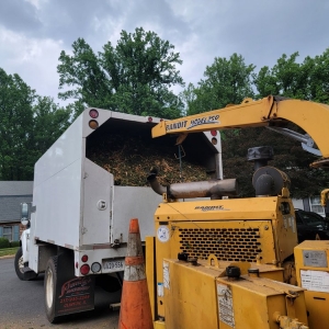 Photo of Solar Landscaping & Tree Service - McLean