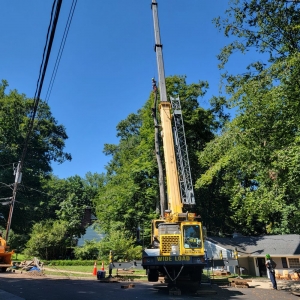 Photo of Solar Landscaping & Tree Service - McLean