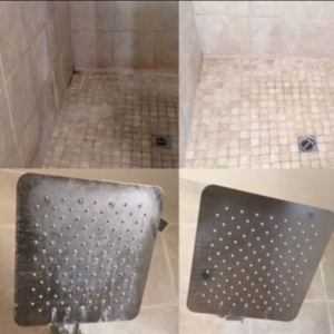Photo of Go Clean
