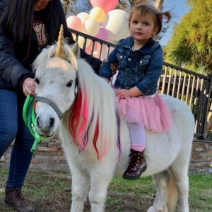 Photo of Party Girl Pony Rides