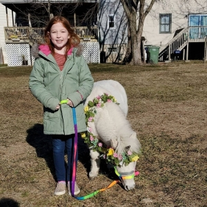 Photo of Party Girl Pony Rides