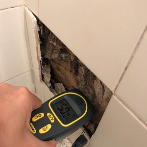 Photo of Mold R Us
