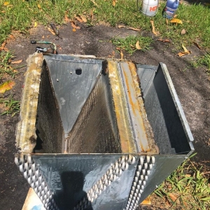 Photo of Mold R Us