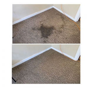 Photo of Bay Area Carpet Master