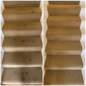 Photo of Bay Area Carpet Master