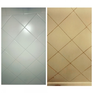 Photo of Phoenix Grout Pro