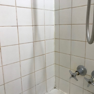 Photo of Phoenix Grout Pro