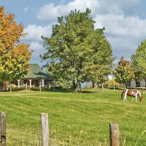 Photo of PROmetro Realty