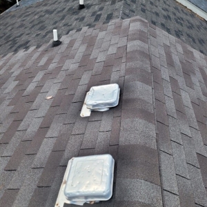 Photo of Mighty Dog Roofing of Greater New Orleans