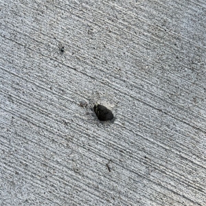 Photo of ART of Concrete