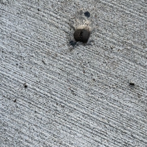 Photo of ART of Concrete