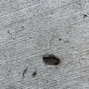 Photo of ART of Concrete