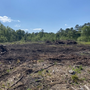 Photo of Palmetto Brush Control & Dirt Works