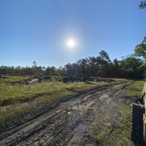 Photo of Palmetto Brush Control & Dirt Works
