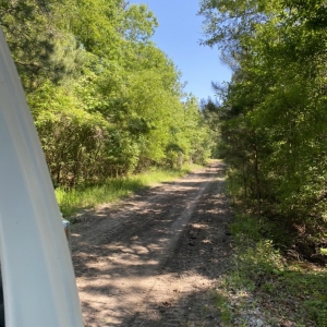 Photo of Palmetto Brush Control & Dirt Works