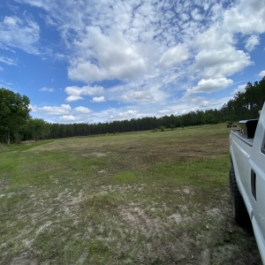Photo of Palmetto Brush Control & Dirt Works