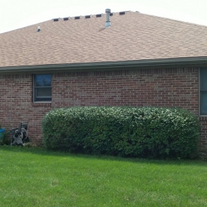Photo of All-American Restoration