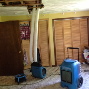 Photo of ECS Carpet Cleaners
