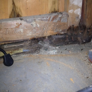 Photo of ECS Carpet Cleaners