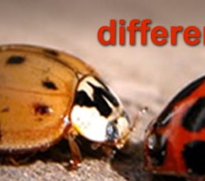 Photo of Stapleton Web Design