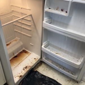 Photo of Bailey's Cleaning Service