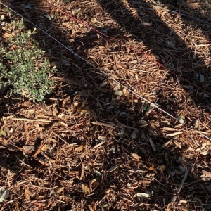 Photo of CLC Landscaping
