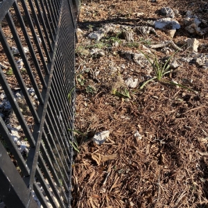 Photo of CLC Landscaping