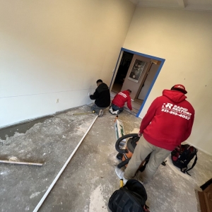 Photo of Rapid Restoration