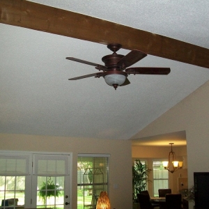 Photo of Armadillo Electrical Services