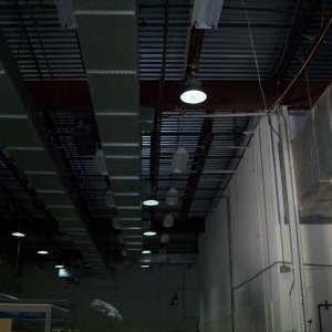 Photo of Armadillo Electrical Services