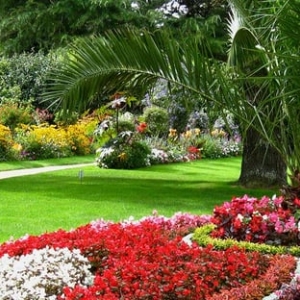 Photo of TLC Total Lawn Care