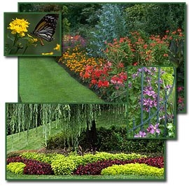 Photo of TLC Total Lawn Care