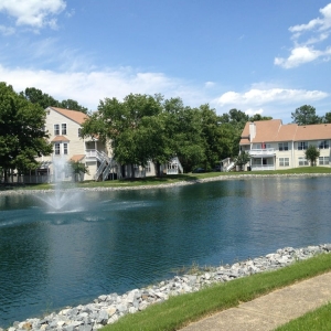 Photo of Shoreline