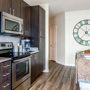 Photo of Bridgeside at Patriots Point Apartments