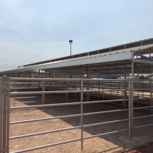Photo of SAVI Construction