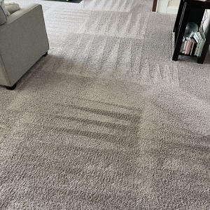 Photo of Oxi Fresh Carpet Cleaning