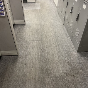 Photo of Oxi Fresh Carpet Cleaning