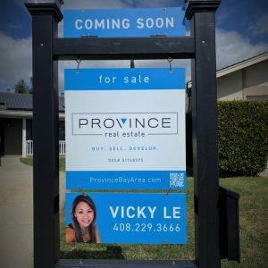 Photo of Vicky Le - Province Real Estate