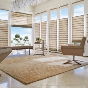 Photo of Lake Geneva Retractable Screens & Shades