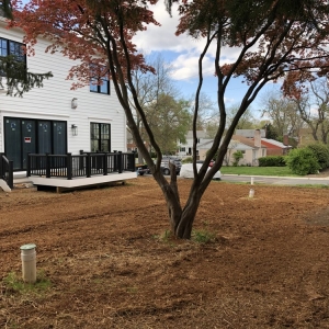 Photo of Dirt Devil Enterprises