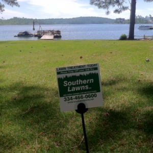 Photo of Southern Lawns