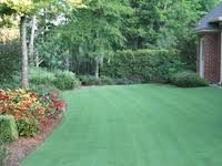 Photo of Southern Lawns