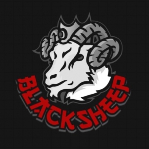 Photo of Black Sheep Mobile Auto Detail