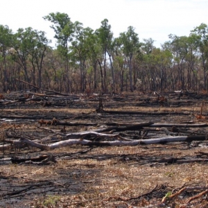 Photo of By Your Designs Land Clearing and Excavation